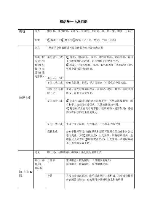 组织学-上皮组织