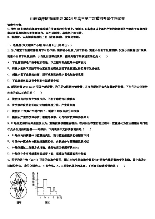 山东省潍坊市临朐县2024年高三第二次模拟考试生物试卷含解析