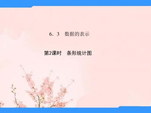 -七年级数学上册 6.3 数据的表示(第2课时 条形统计图)课件 (新版)北师大版