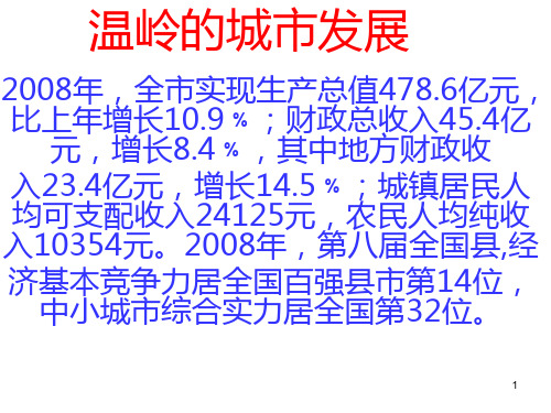 温岭城市发展调查报告PPT课件