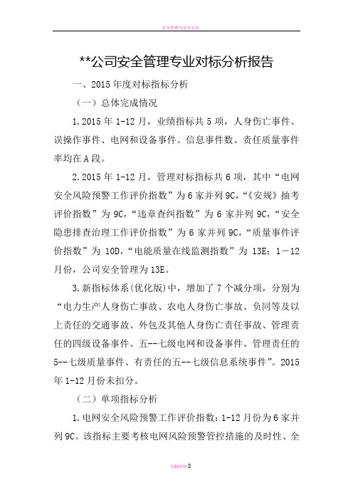 安全管理专业对标分析报告(DOC)