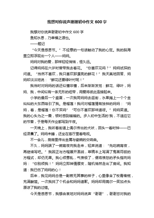 我想对你说声谢谢初中作文600字