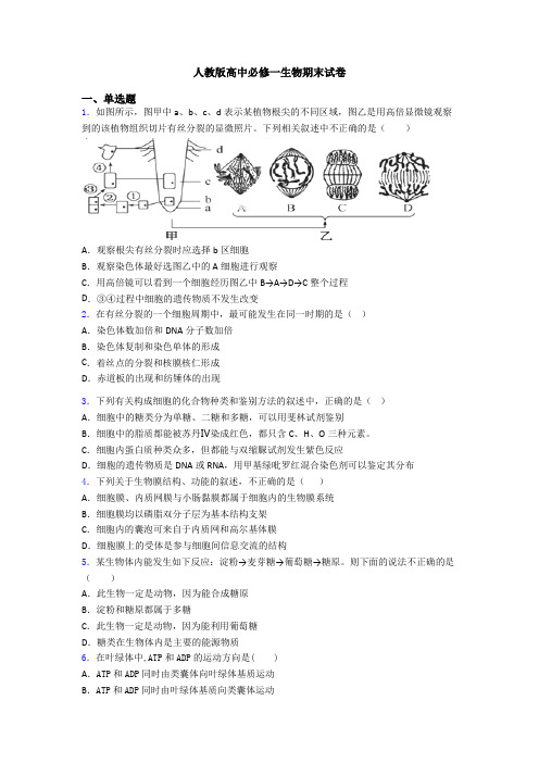 人教版高中必修一生物期末试卷