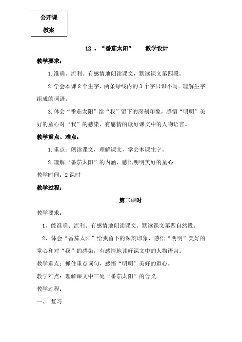 12.“番茄太阳” 第二课时教案
