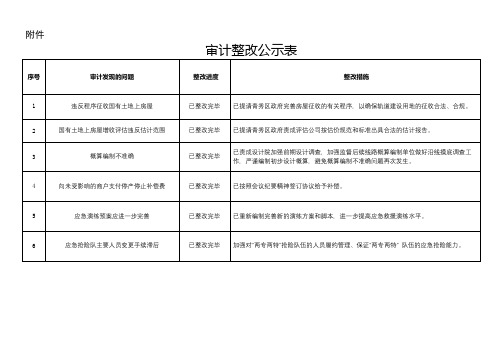 审计整改公示表【模板】