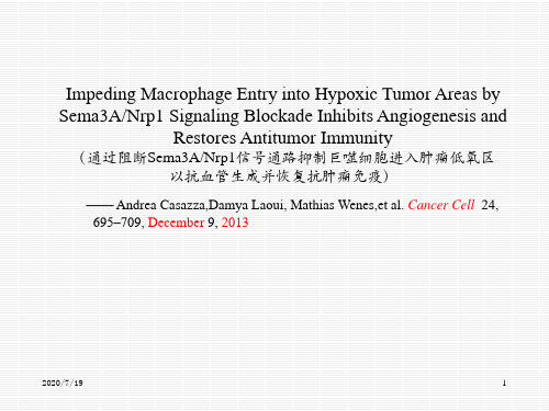 文献阅读-阻断Sema3A信号通路抑制巨噬细胞进入肿瘤低氧区抗血管生成并恢复抗肿瘤免疫