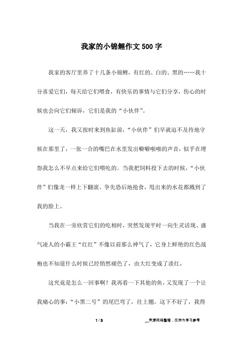 我家的小锦鲤作文500字