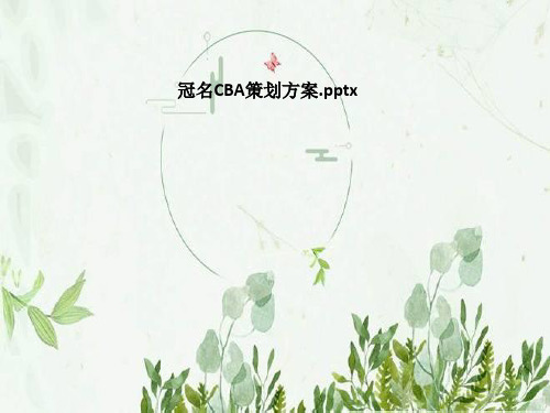 冠名CBA策划方案