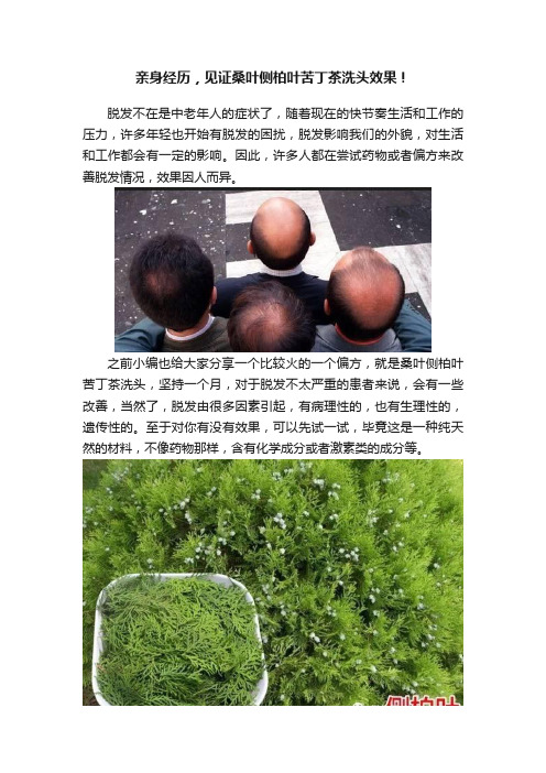 亲身经历，见证桑叶侧柏叶苦丁茶洗头效果！