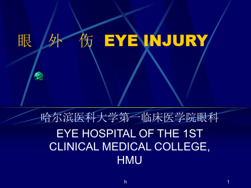 《眼外伤EYEINJURY》PPT课件