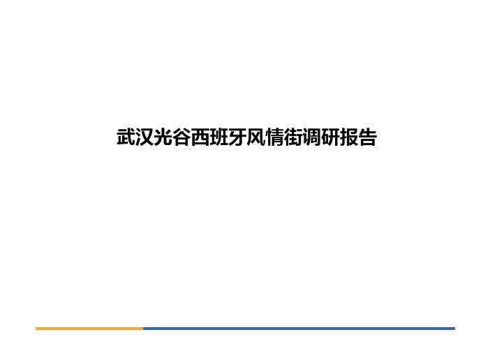 武汉光谷步行街调研报告