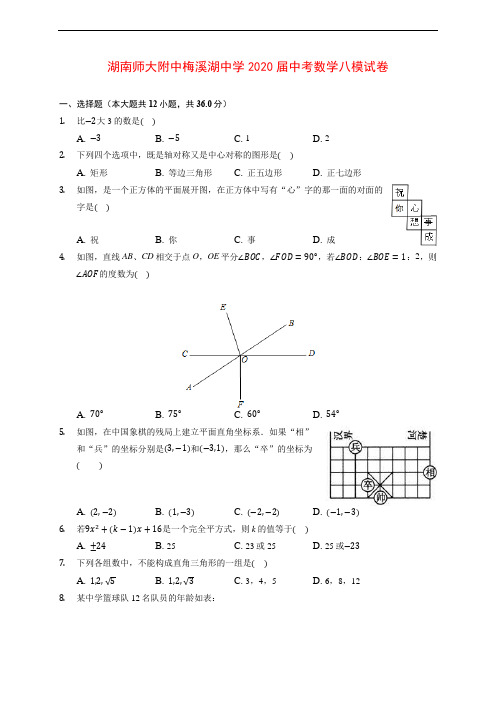 湖南师大附中梅溪湖中学2020届中考数学八模试卷 (含解析)