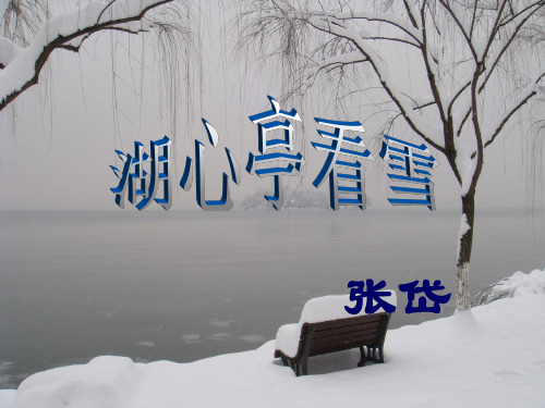 人教部编版语文九年级上册《湖心亭看雪》教学课件(共29张PPT)(优质版推荐)