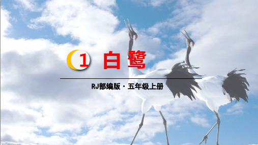 部编版五年级语文上《白鹭》ppt精品教学