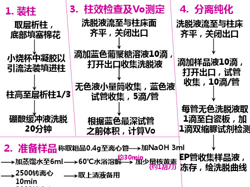 凝胶层析法分离酪蛋白与核黄素流程图