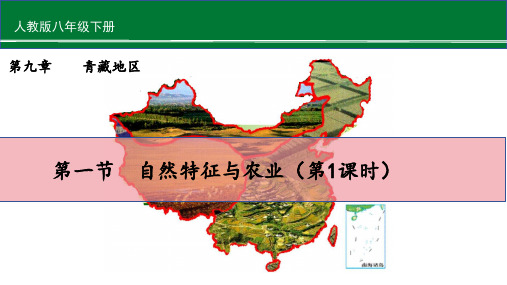 (人教版)八年级地理下册 第九章 西藏地区《自然特征与农业》