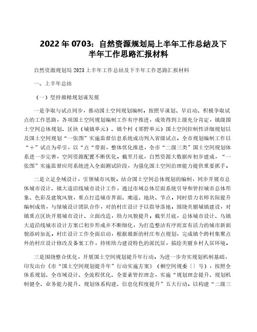 2022年0703：自然资源规划局上半年工作总结及下半年工作思路汇报材料