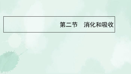 石棉县第二中学七年级生物下册 4.2.2《消化和吸收》预习课件 新版新人教版