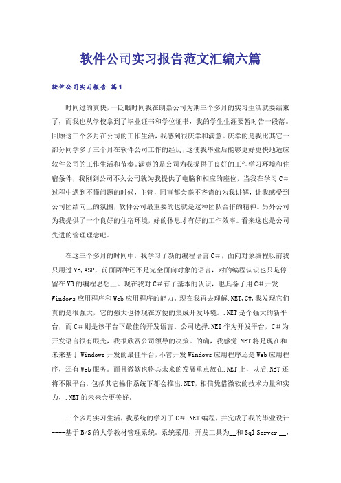 软件公司实习报告范文汇编六篇