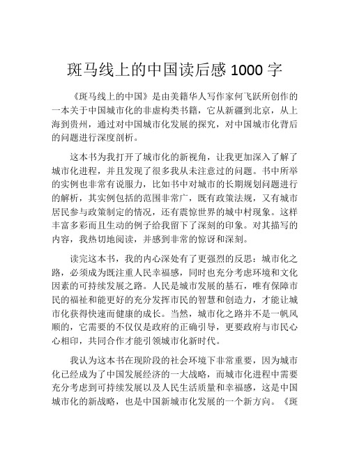 斑马线上的中国读后感1000字