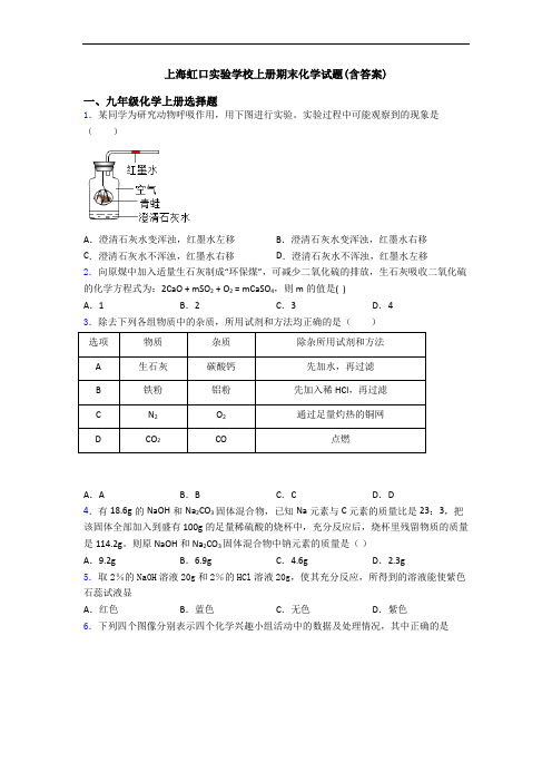 上海虹口实验学校初三化学上册期末化学试题(含答案)