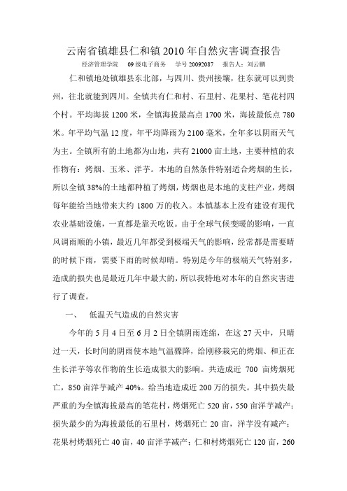 云南省镇雄县仁和镇2010年自然灾害调查报告