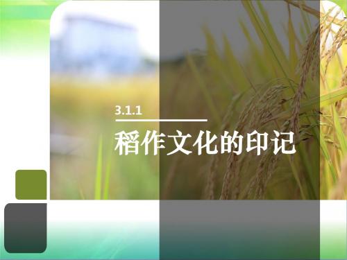 人教版七年级上册历史与社会3.1.1稻作文化的印记