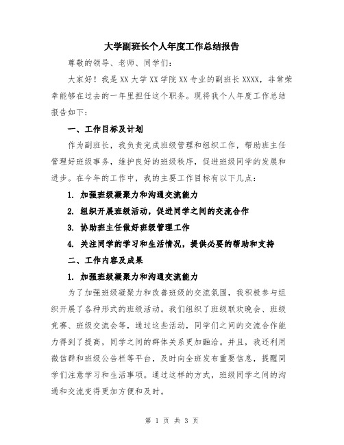 大学副班长个人年度工作总结报告