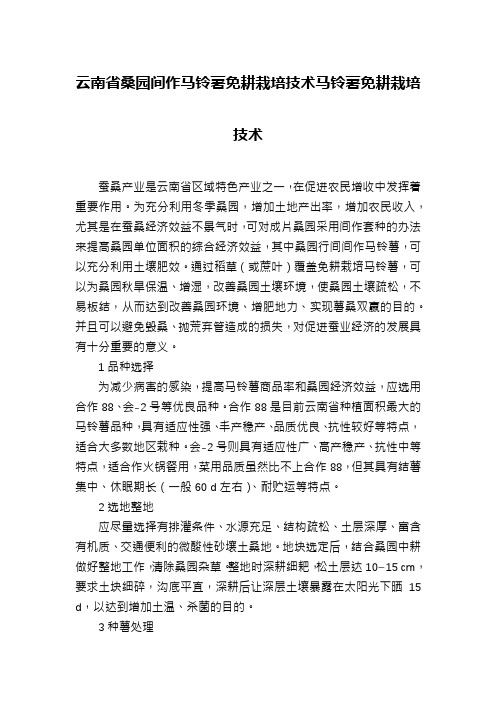 云南省桑园间作马铃薯免耕栽培技术马铃薯免耕栽培技术