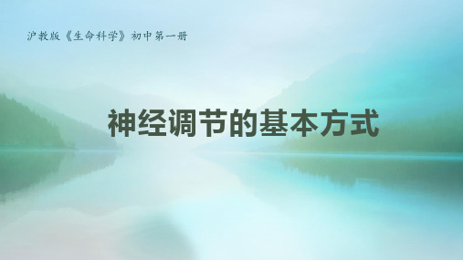 沪教版生物八年级第一册 2.1.3 神经调节的基本方式  课件 