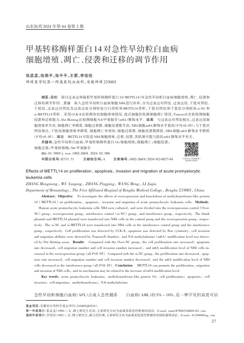 甲基转移酶样蛋白14对急性早幼粒白血病细胞增殖、凋亡、侵袭和迁移的调节作用