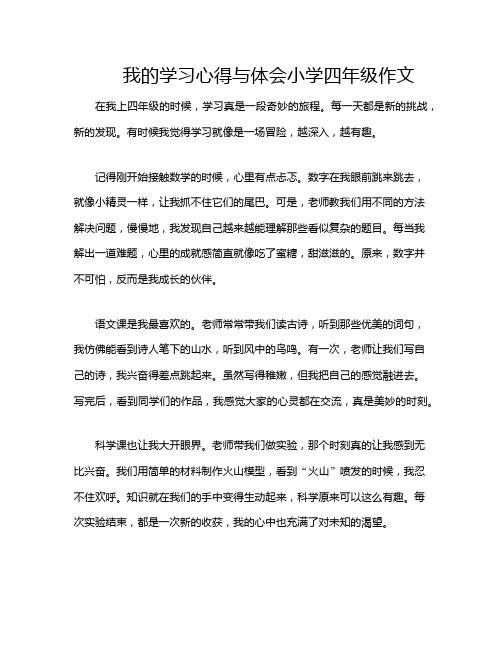 我的学习心得与体会小学四年级作文