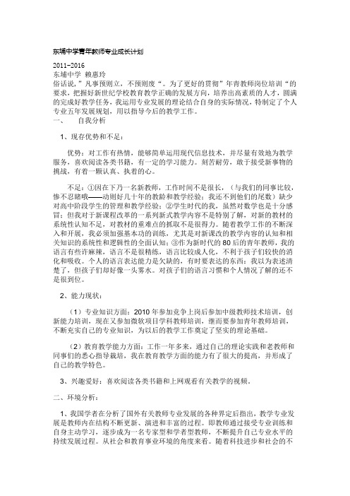 东埔中学青年教师专业成长计划