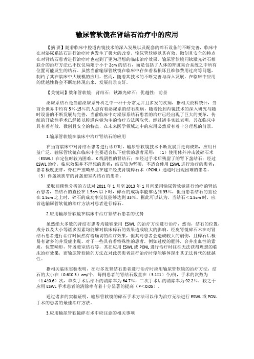 输尿管软镜在肾结石治疗中的应用