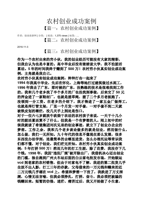 农村创业成功案例