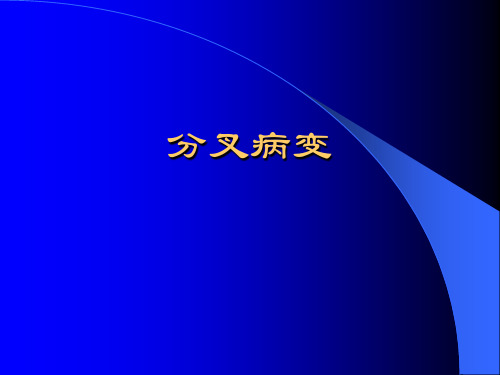 分叉病变1