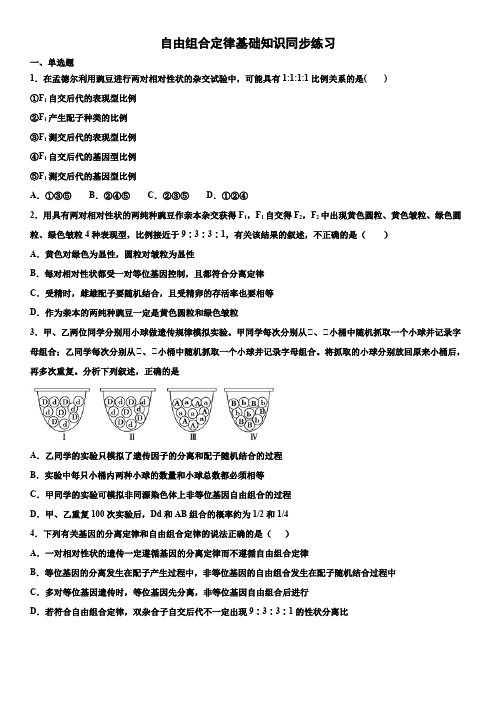 自由组合定律基础知识同步练习题