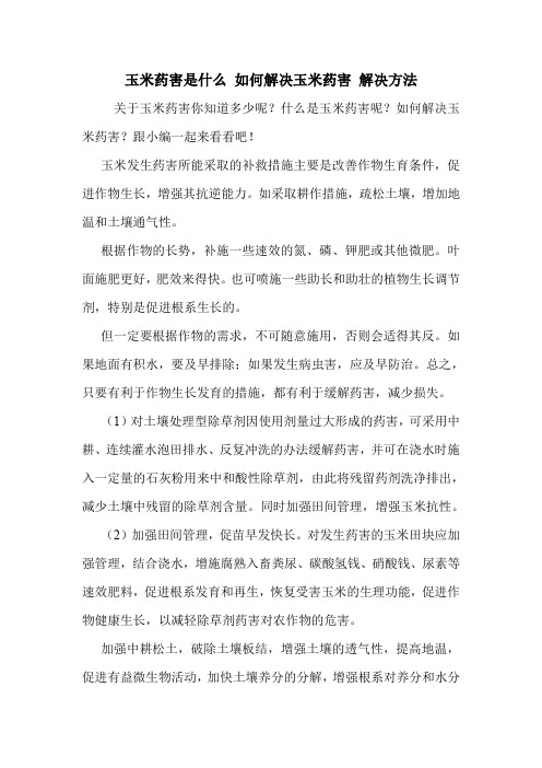 玉米药害是什么 如何解决玉米药害 解决方法.doc