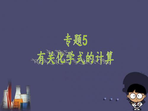 广东省中山市马新中学2016中考化学专题复习 专题5 有关化学式的计算课件 新人教版