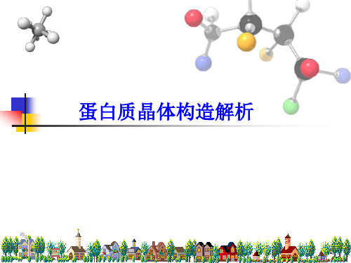 蛋白质晶体结构解析