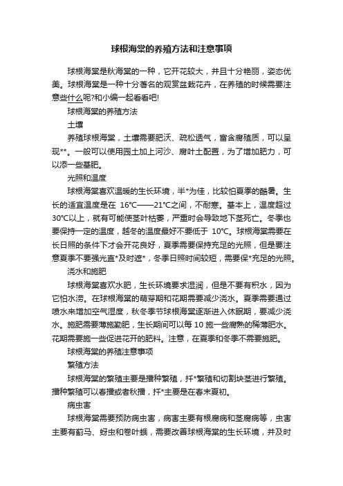 球根海棠的养殖方法和注意事项