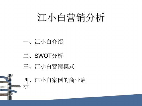 网络营销经典案例分析