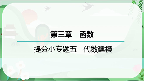 2025年中考数学总复习第一部分考点梳理提分小专题五代数建模 类型四