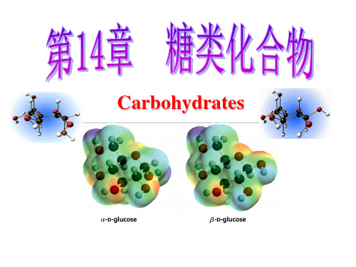 第14章 糖类化合物