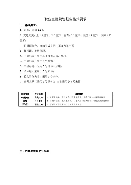 职业生涯报告评分标准