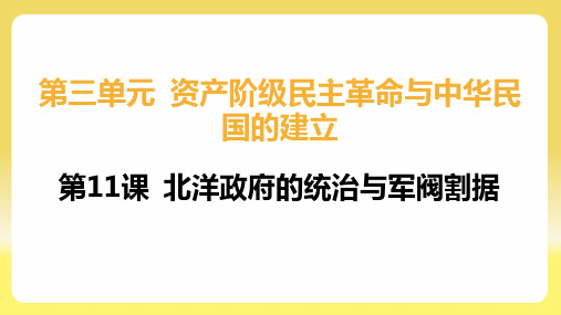 第11课 北洋政府的统治与军阀割据  2024~2025学年八年级历史同步学习(人教版)