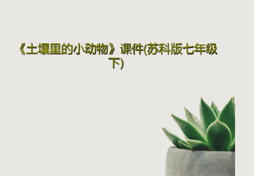 《土壤里的小动物》课件(苏科版七年级下)共33页
