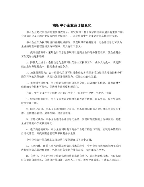 浅析中小企业会计信息化