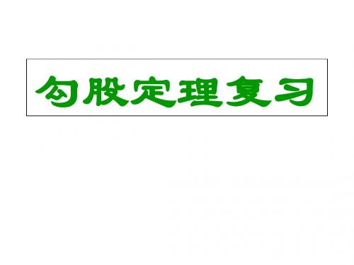 数学：第一章勾股定理复习课件(北师大版八年级上)