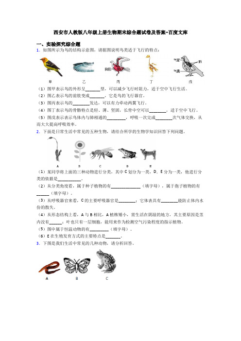 西安市人教版八年级上册生物期末综合题试卷及答案-百度文库